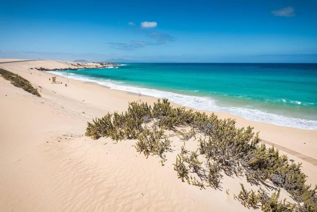 B-Rent Alisios Playa Isla Bonita Apartman Corralejo Kültér fotó